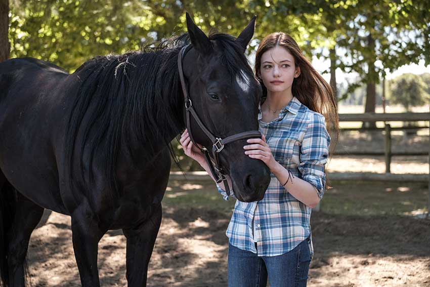 Black Beauty Mackenzie Foy Disney