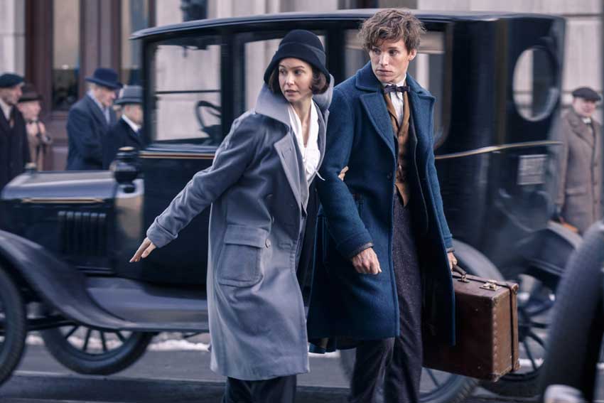 Fantastic Beasts and Where To Find Them Eddie Redmayne Katherine Waterston