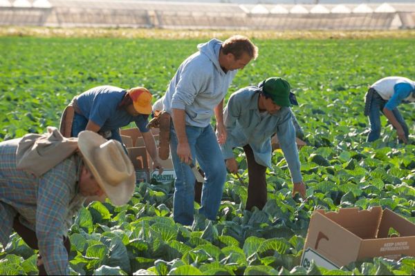 McFarland USA Kevin Costner image6