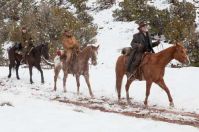 true-grit-movie-horses