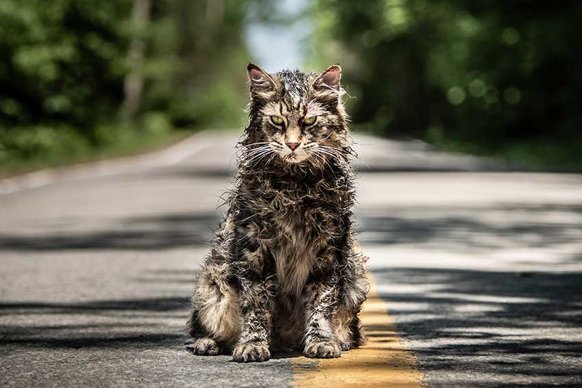 Pe Sematary 2018 image